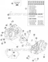 CARTER MOTEUR pour KTM 505 SX ATV de 2012