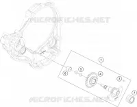 ARBRE D'EQUILIBRAGE pour KTM 250 SX-F de 2017