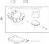 CYLINDRE pour KTM 390 DUKE WHITE - B.D. de 2019