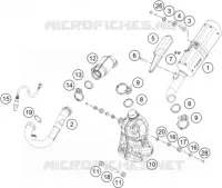 ECHAPPEMENT pour KTM 250 DUKE WHITE de 2019