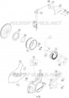 ALLUMAGE pour KTM 125 DUKE WHITE de 2020