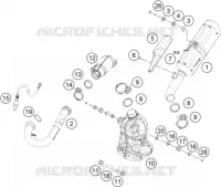 ECHAPPEMENT pour KTM 390 DUKE WHITE de 2021