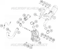 ECHAPPEMENT pour KTM 390 DUKE SILVER - CKD de 2021