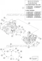CARTER MOTEUR pour KTM 300 EXC TPI ERZBERGRODEO de 2022