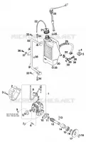 POMPE A HUILE pour KTM 125 STING de 1998
